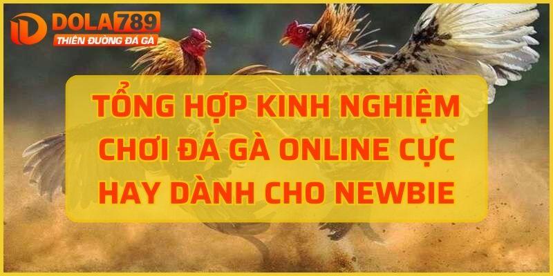 kinh nghiệm đá gà online