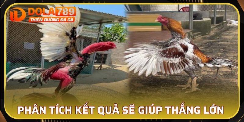 Phân tích kết quả sẽ giúp bạn nắm rõ các chỉ số cần thiết