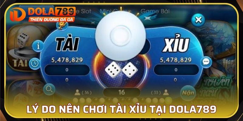 Lý do nên chơi tài xỉu tại DOLA789