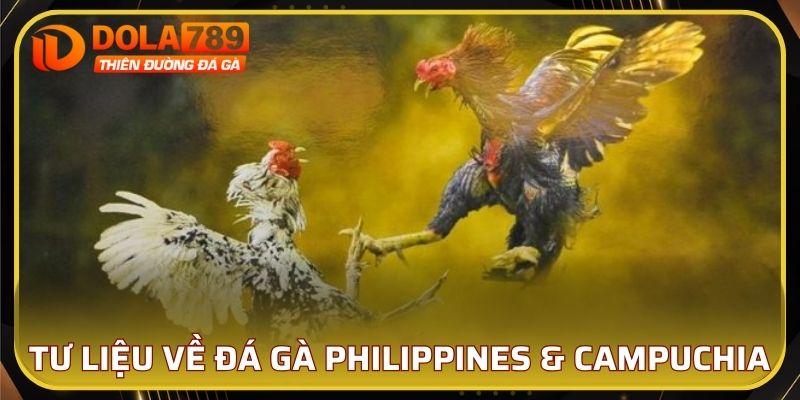 Tư liệu về đá gà Philippines vs Campuchia