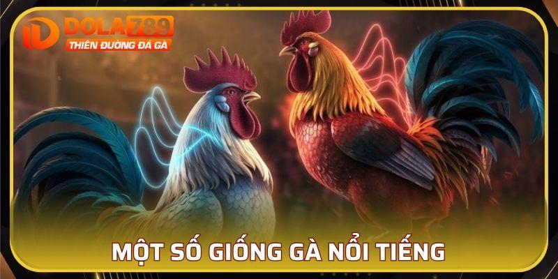 Một số giống gà nổi tiếng được ưu tiên