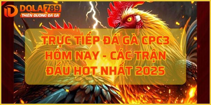 Trực tiếp đá gà CPC3 hôm nay