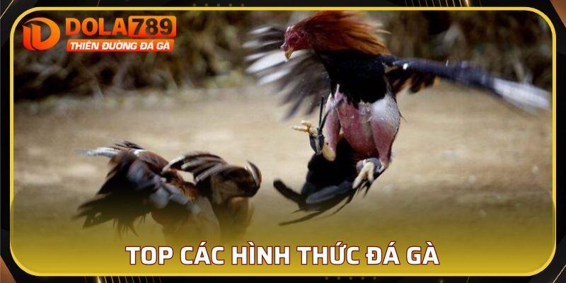 Top các hình thức đá gà làm mưa làm gió