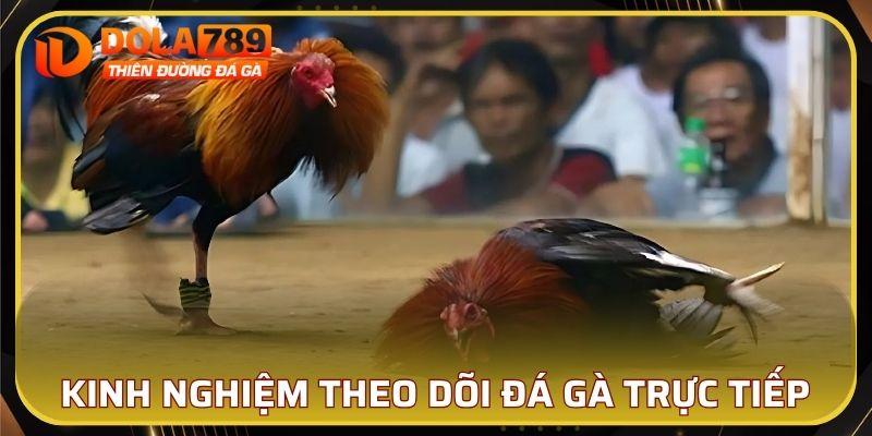 Bỏ túi kinh nghiệm theo dõi trực tiếp trận đấu