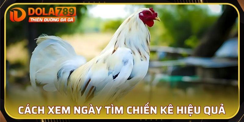 Các cách xem ngày tìm chiến kê hiệu quả