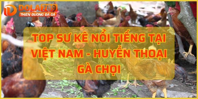 Top sư kê nổi tiếng tại việt nam