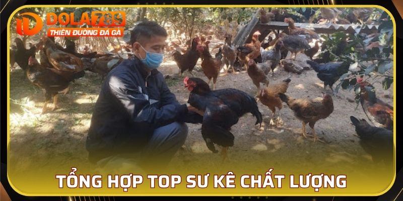Tổng hợp Top sư kê chất lượng tại Việt Nam