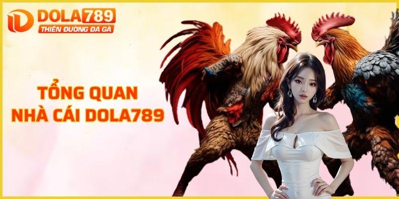Tổng quan về nhà cái DOLA789