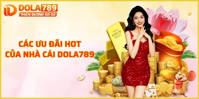 Các ưu đãi hot của nhà cái nên biết hiện nay