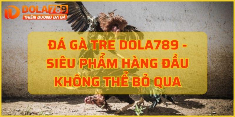 Đá Gà tre Dola789