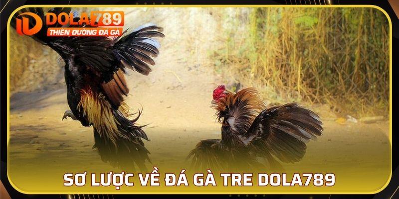 Sơ lược về đá gà tre DOLA789
