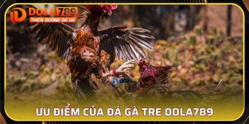 Ưu điểm vượt bậc của đá gà tre DOLA789